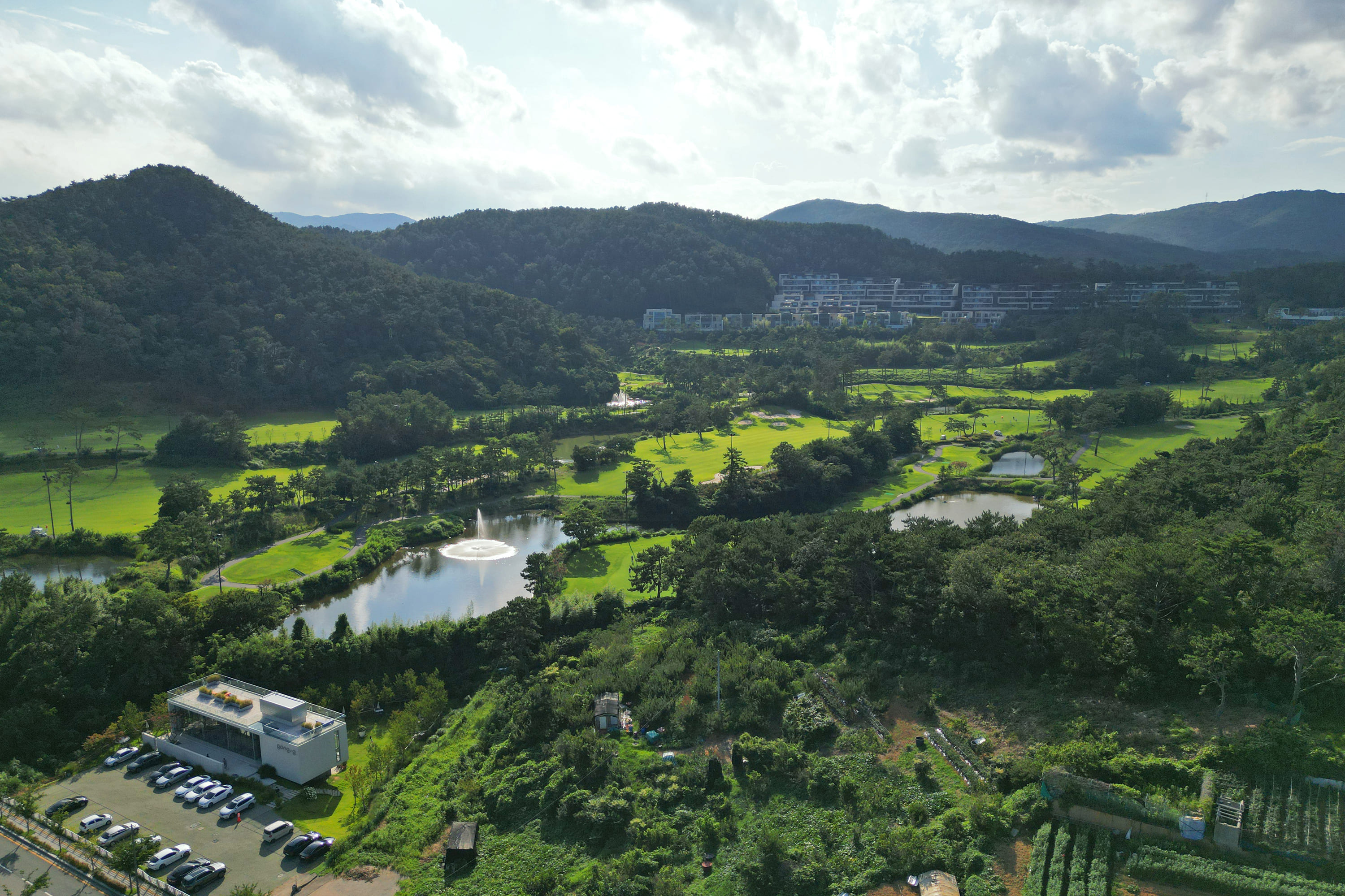 view2.jpg